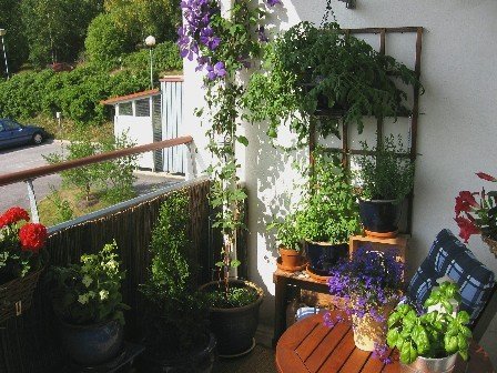 Apartment balcony garden: apartment balcony vegetable garden ...